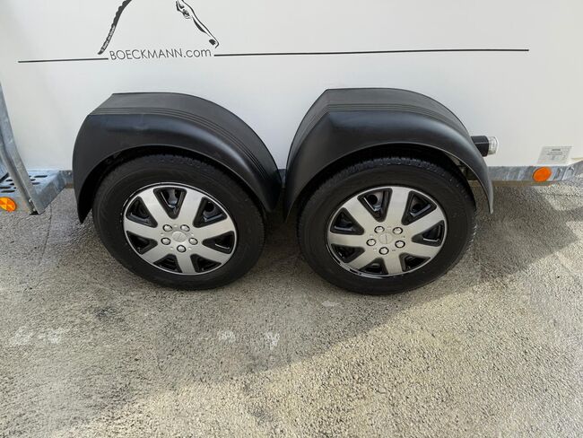 Böckmann Comfort, Böckmann Comfort, Sport- und Freizeitpferde Fuchs (Sport- und Freizeitpferde Fuchs), Horse Trailers, Ehingen, Image 17