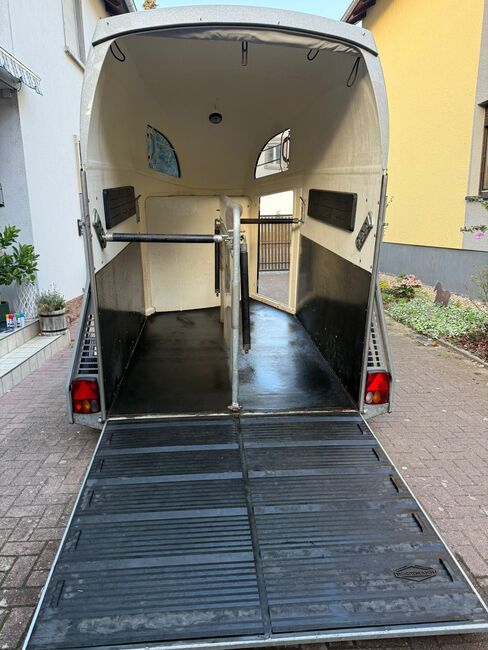 Böckmann Comfort, Böckmann Comfort , Daniel Schneider, Horse Trailers, Linkenheim-Hochstetten, Image 2