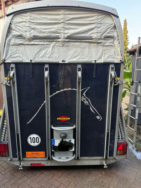 Böckmann Comfort, Böckmann Comfort , Daniel Schneider, Horse Trailers, Linkenheim-Hochstetten, Image 3