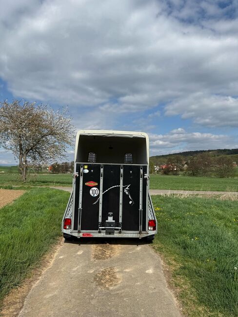 Böckmann Comfort Pferdeanhänger, Böckmann  Comfort , Leonie Panczyk, Horse Trailers, Duderstadt , Image 4