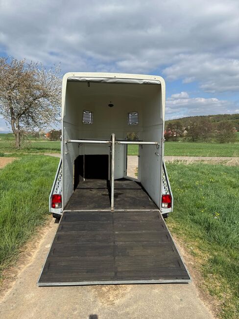 Böckmann Comfort Pferdeanhänger, Böckmann  Comfort , Leonie Panczyk, Horse Trailers, Duderstadt , Image 7