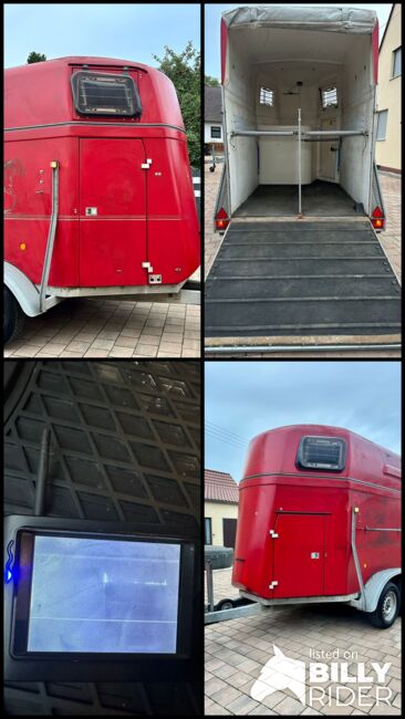 ❗️Böckmann Comfort Vollpoly Saka Pferdeanhänger Pferdehänger, Böckmann  Comfort , Fuchs Daniel, Ellgau - Pferdeanhänger seit 2016  (Nutzfahrzeughandel und Vermietung Daniel Fuchs ), Horse Trailers, Ellgau , Image 14