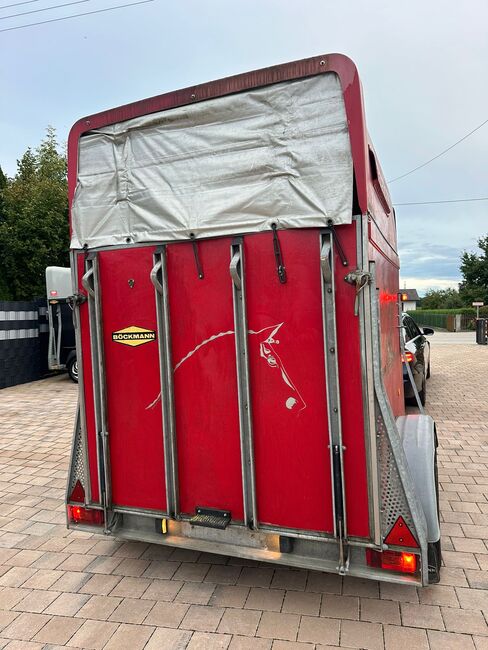 ❗️Böckmann Comfort Vollpoly Saka Pferdeanhänger Pferdehänger, Böckmann  Comfort , Fuchs Daniel, Ellgau - Pferdeanhänger seit 2016  (Nutzfahrzeughandel und Vermietung Daniel Fuchs ), Horse Trailers, Ellgau , Image 12