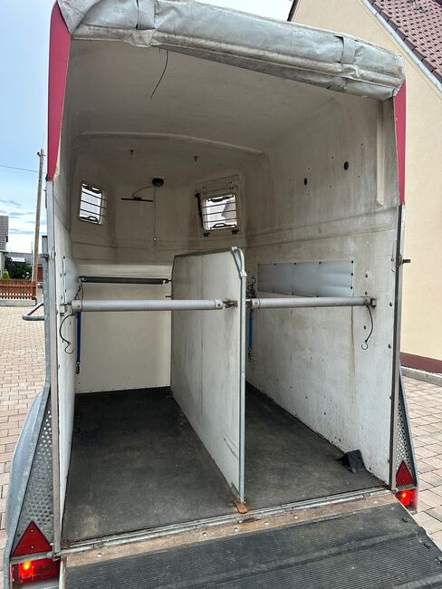 ❗️Böckmann Comfort Vollpoly Saka Pferdeanhänger Pferdehänger, Böckmann  Comfort , Fuchs Daniel, Ellgau - Pferdeanhänger seit 2016  (Nutzfahrzeughandel und Vermietung Daniel Fuchs ), Pferdeanhänger, Ellgau , Abbildung 4