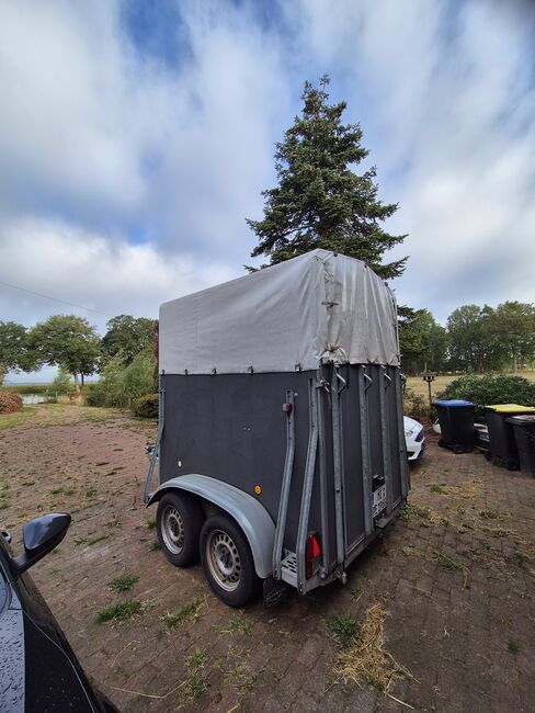 Böckmann Duo Pferde / Viehtransporter, Böckmann DUO, Ute Niebuhr , Horse Trailers, Rahden-Varl , Image 2