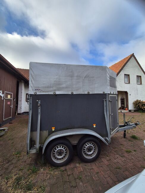 Böckmann Duo Pferde / Viehtransporter, Böckmann DUO, Ute Niebuhr , Pferdeanhänger, Rahden-Varl 
