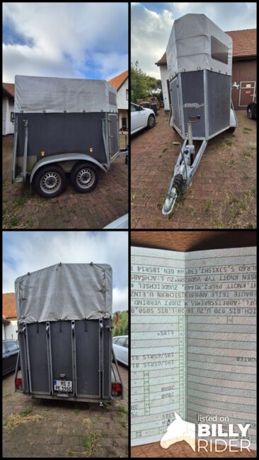 Böckmann Duo Pferde / Viehtransporter, Böckmann DUO, Ute Niebuhr , Pferdeanhänger, Rahden-Varl , Abbildung 11