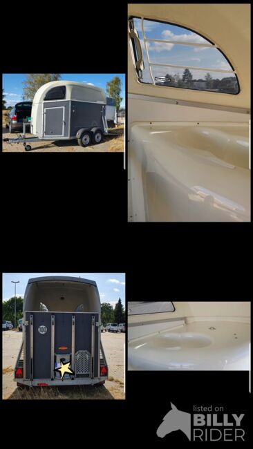 Böckmann  Duo R, Böckmann Duo R , Andrea, Horse Trailers, Wedemark, Image 8