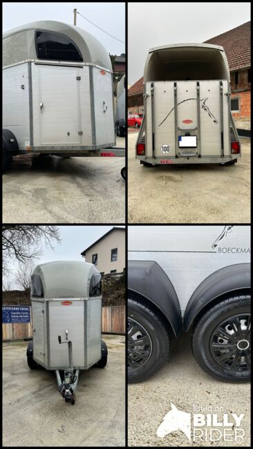 Böckmann Champion C, Böckmann Champion C, Sport- und Freizeitpferde Fuchs (Sport- und Freizeitpferde Fuchs), Horse Trailers, Ehingen, Image 17