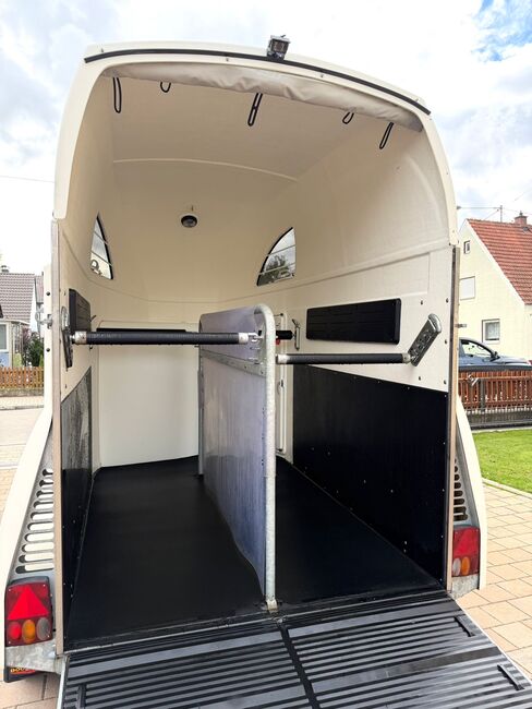 ❗️Böckmann Master Alboden Saka Pferdeanhänger Pferdehänger, Böckmann  Master , Fuchs Daniel, Ellgau - Pferdeanhänger seit 2016  (Nutzfahrzeughandel und Vermietung Daniel Fuchs ), Horse Trailers, Ellgau , Image 9