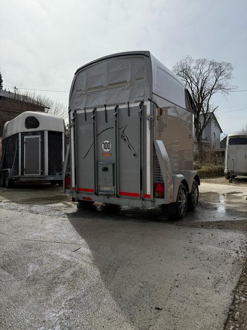 Böckmann Master WCF Plus Fahrwerk Pferdeanhänger, Böckmannq Master, Sport- und Freizeitpferde Fuchs (Sport- und Freizeitpferde Fuchs), Pferdeanhänger, Ehingen, Abbildung 4