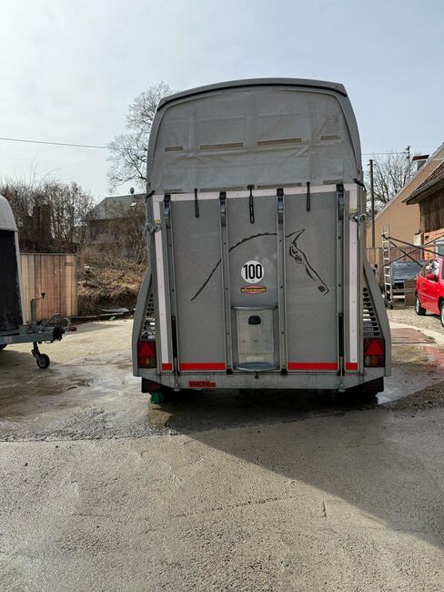 Böckmann Master WCF Plus Fahrwerk Pferdeanhänger, Böckmannq Master, Sport- und Freizeitpferde Fuchs (Sport- und Freizeitpferde Fuchs), Pferdeanhänger, Ehingen, Abbildung 5