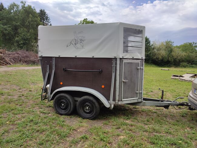 Böckmann Pferdeanhänger Holz/Plane, Böckmann , Jenny, Horse Trailers, Eichstegen