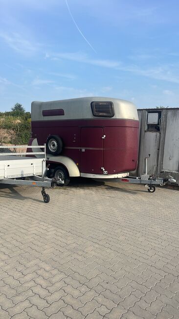 Böckmann Top Master, Böckmann  Top Master, Carolyn Wittenborn , Horse Trailers, Leimersheim 