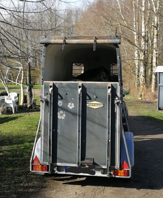 Böckmann Uno, Böckmann  Uno, Maike, Horse Trailers, Dänischenhagen, Image 3