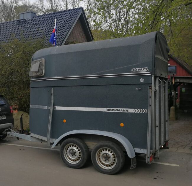 Böckmann Uno, Böckmann  Uno, Maike, Horse Trailers, Dänischenhagen, Image 5