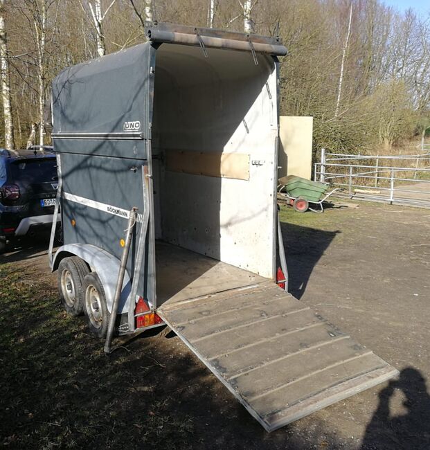 Böckmann Uno, Böckmann  Uno, Maike, Horse Trailers, Dänischenhagen, Image 2