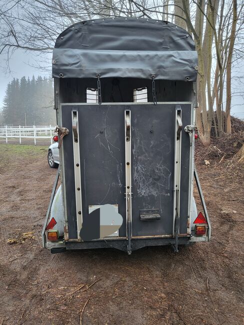 Böckmann Vollpoly 1,5, Böckmann Böckmann Vollpoly, Snoppi , Horse Trailers, Neumünster , Image 6