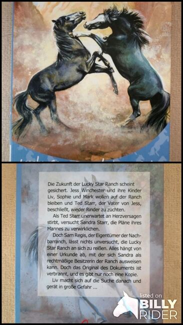 Buch "Lucky Star Ranch in Gefahr", Tina, Books, Oberursel, Image 3