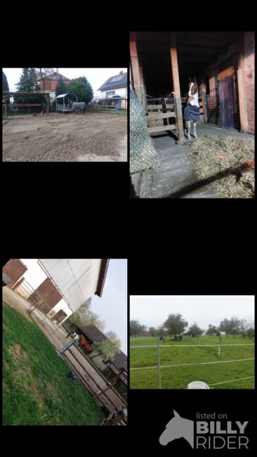 Pferdebox/Offenstall frei, Lea, Wolna stajnia, Empfingen, Image 5