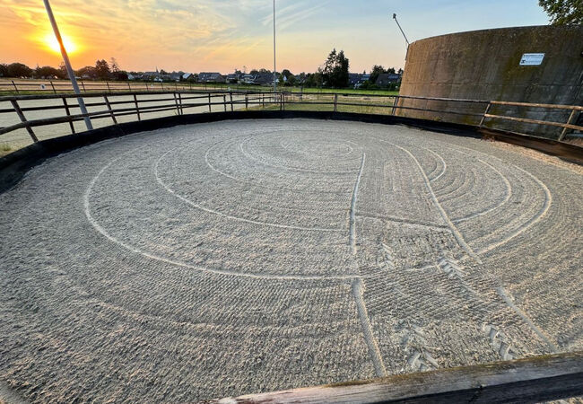 Pferdebox Vollpension, Elisenhof, Wolna stajnia, Merzenich, Image 2