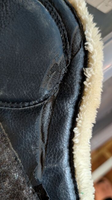 Fell Gamaschen, Fiona  Braun , Tendon Boots, Arnsberg , Image 3