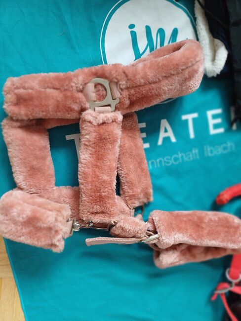 Fellhalfter, Felix Bühler Fellhalfter, Enja, Halters, Seewen SZ, Image 3