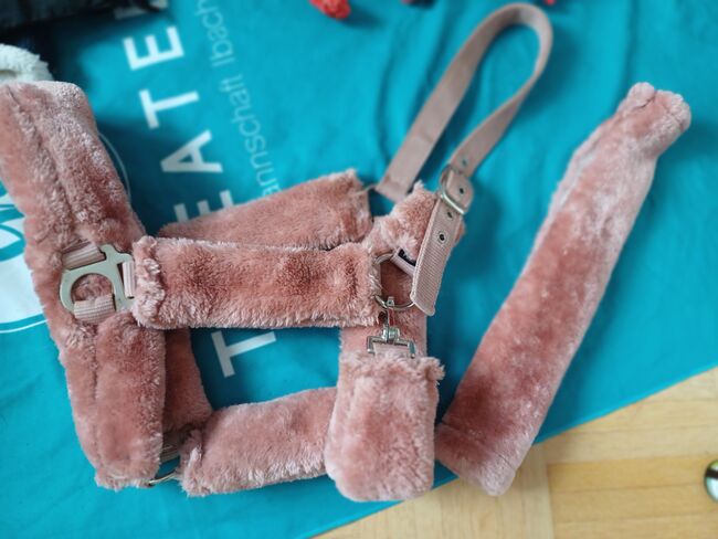 Fellhalfter, Felix Bühler Fellhalfter, Enja, Halters, Seewen SZ