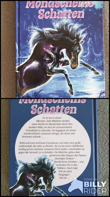 Buch "Mondscheins Schatten" - Sabine Giebken, Pony Club, Jenni // Polarstern, Books, Beeskow, Image 3