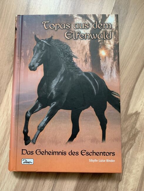 Buch „Topas aus dem Elfenwald“, Vanessa, Books, Nörten-Hardenberg 