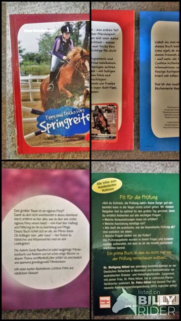 Bücher Pferd Reiten (Springen, Western, eigenes Pony, Hufeisen), CN, Books, Altusried, Image 7