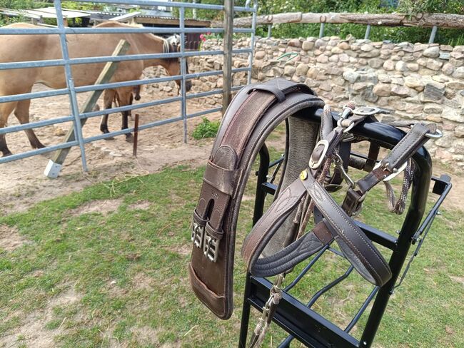 Baumloser Barefootsattel, Barefootsattel   Nevada , Ursula Kandeler , Endurance Saddle, Sarkwitz, Image 5