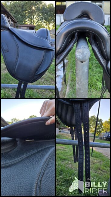 Sattel Baumlos Marke Torsion, Torsion, Angela Kühn, Treeless Saddle, Schwedt/ Oder, Image 14