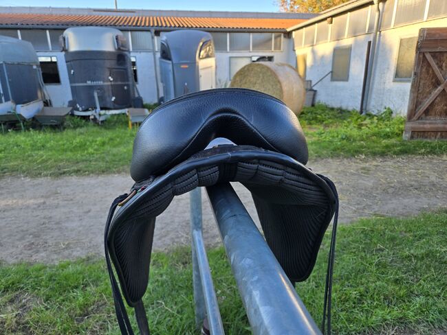 Sattel baumlos Marke Torsion, Torsion, Angela Kühn, Treeless Saddle, Schwedt/ Oder, Image 5