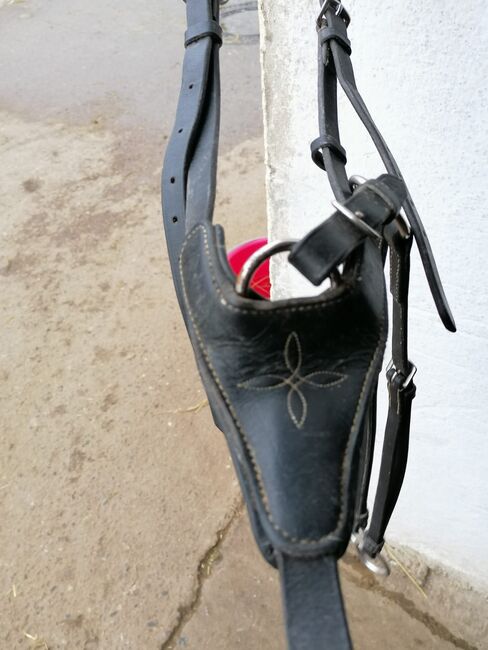 Vorderzeug schwarz Warmblut, Marie, Training Aids, Niedersachsen - Göttingen, Image 4