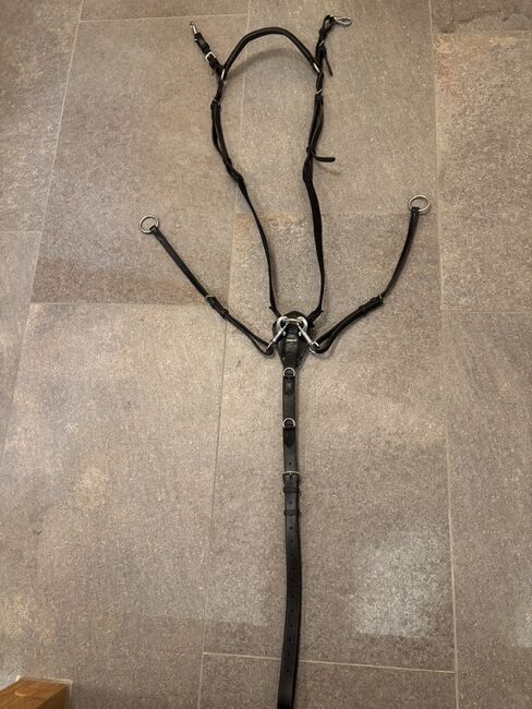 Vorderzeug, Euroriding, Pamela Nikolay, Saddle Accessories, Feldberg 