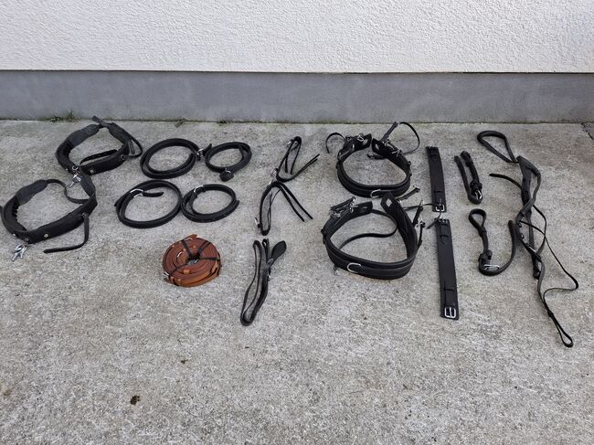Brustblattgeschirr Gr. COB, Hans, Horse Harness, St.Wolfgang