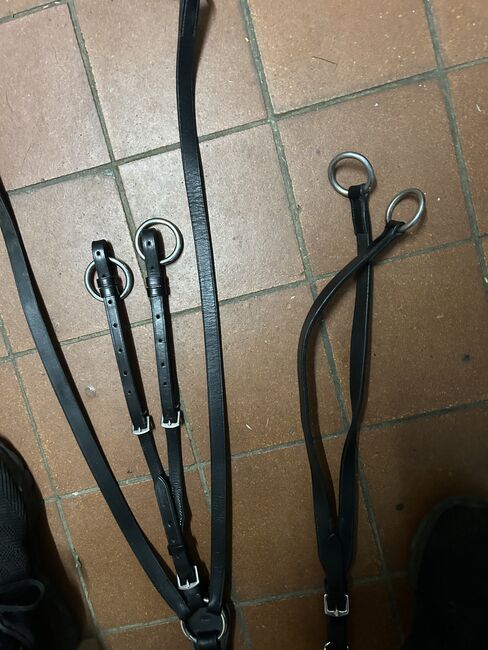 Vorderzeug, Geraldine Wiedemann, Training Aids, Leubsdorf