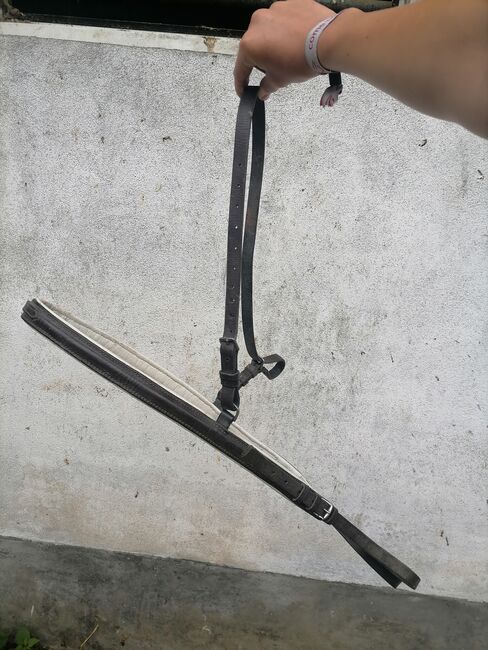 Vorderzeug, Vorderzeug, Dolores, Saddle Accessories, Oed am Seichten Graben