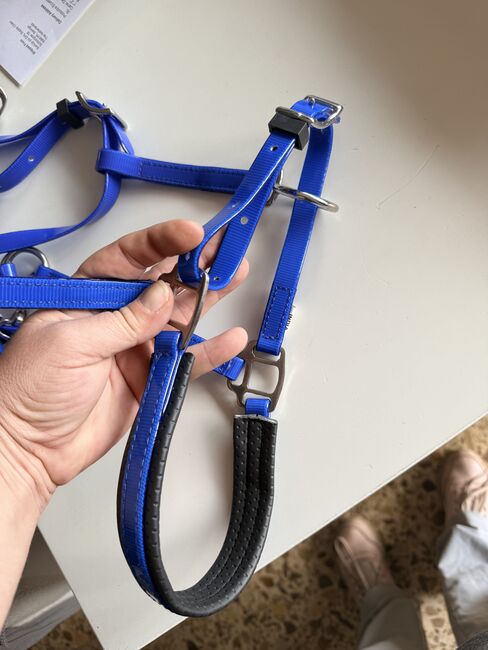 Ensemble bride, plastron et rênes en Biothane. RAID / endurance, Trotando Juntos , Maite (Productos Ecuestres Trotando Juntos S.L), Bridles & Headstalls, Palau solita y plegamans