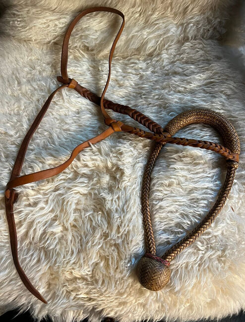 Bosal 1/2" von Bärti Frunz(Araber), Bärti Frunz für einen Vollblutaraber angefertigt, Claudia Brausen , Bitless Bridles, Rommerskirchen 
