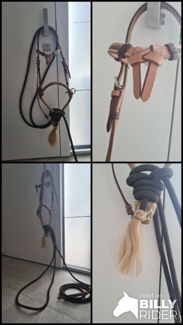 Bosal inkl. Mercate, Martina Wimmer, Bitless Bridles, Geinberg, Image 7