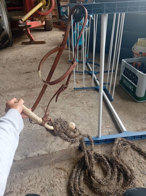 Bosal trense, Unbekannt  Trense, Lotta, Bitless Bridles, Wiehl