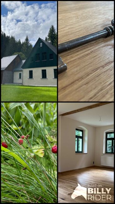 Wohnhaus mit Pferdehaltung in Sachsen, Nicolle Ludwig, Equestrian Properties, Eibenstock, Image 22