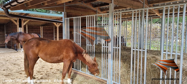 Offenstall bauen, Pferdeunterstand, Weideunterstand, Unterstand, Weidehütte pferd, Laufstall pferd,, AUSSENBOXEN Pferdeunterstand, AUSSENBOXEN, Horse Shelters & Tents, Wałcz, Image 13