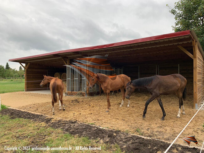 Unterstand für Pferde / Offenstall bauen - Pferdeunterstand, Weideunterstand, Weidehütte pferd,, AUSSENBOXEN Pferdeunterstand - Weideunterstand - Unterstand / Offenstall bauen, AUSSENBOXEN (AUSSENBOXEN), Horse Shelters & Tents, Wałcz, Image 25