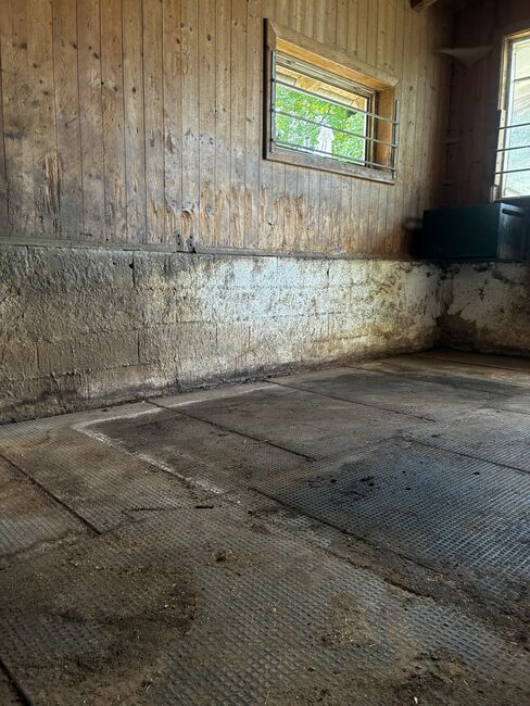 Boxenmatten, Barbara Schlor, Horse & Stable Mats, Rohrdorf, Image 4