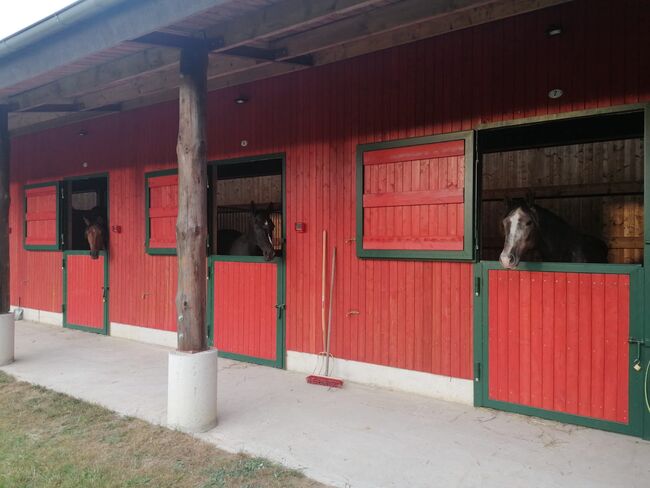 Boxenplatz / Offenstallplatz, Mandy Wasmund, Horse Stables, Mellenthin