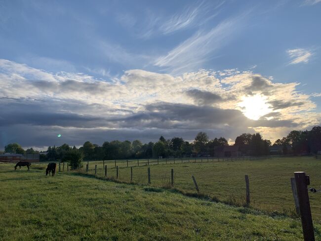 Boxen und Offenstallplätze, Jill Marylin Michaels , Horse Stables, Neulewin