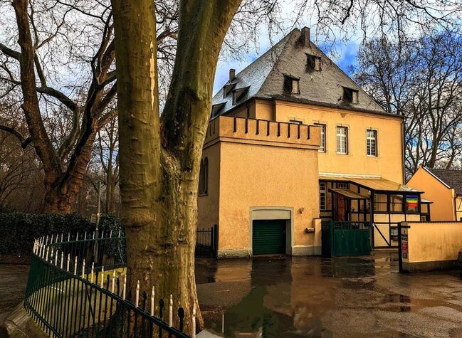 Box frei, zentrumnah mit eigenem Paddock und Weide, Sebastian, Horse Stables, Köln
